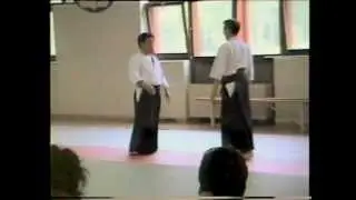 Shoji Nishio - Gyakuhanmi  iriminage.m4v