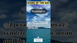 Sea 🌊 Lover ? Word of the day | #english #englishvocabulary #shorts