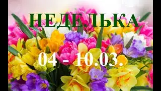БЛИЗНЕЦЫ. НЕДЕЛЬКА. С 4 по 10 марта 2024 года. ТАРО прогноз. События.. Татьяна Шаманова