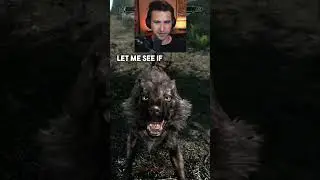 💵 HOW MUCH MONEY DOES ATTACKING A WOLF COST ME? #shorts #skyrimmods
