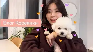 Жизнь в Корее, Давно не виделись!😢