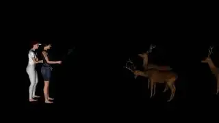Forest- 3d animations - Daz Studio, Marvelous Designer