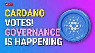 Cardano Is Voting!!! Interim Constitutional Committee Elections