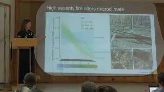 Post-fire tree regeneration under a changing climate by Kimberly Davis