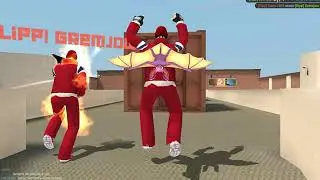 flipp vs NKS