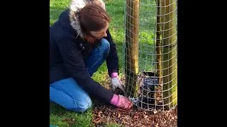 Meet the Mothers with an orchard-planting Mission! (Moor Nook Park)