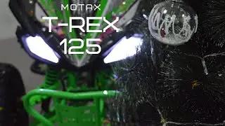 Обзор квадроцикла T-Rex 125сс