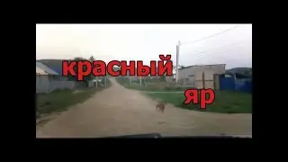 #красноусольск. Улица Красно Яр