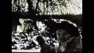 Воронеж. Памятник Славы. 1972 год. Фильм Александра Березянского