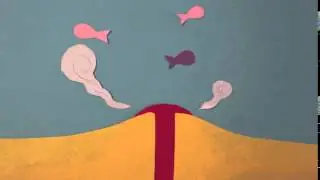Sea Floor Spreading