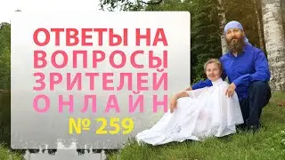 Онлайн Встреча №259
