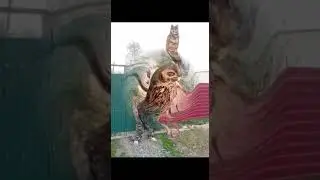 Семья Запечновых (УИИ) Акция "Моя семья" #семьиуис