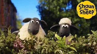 The Mission 🐑 Shaun the Sheep - Cartoons for Kids 🐑 Full Episodes Compilation [1 hour]