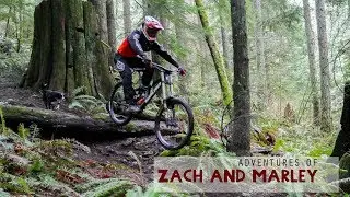 Adventures of Zach and Marley