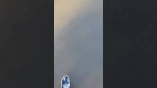 О...Смотри мячик⚽