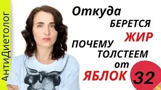 Почему ты НЕ ХУДЕЕШЬ. Жир - Ожирение. Марафон Похудения. День 32