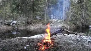 Design in the forest | Дизайн в лесу