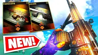*NEW* VANGUARD WEAPONS in WARZONE?