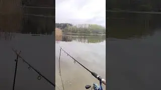 Волчковское водохранилище 16.04.24