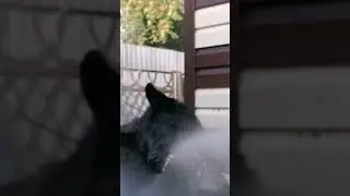 ешь пей веселись 🤣