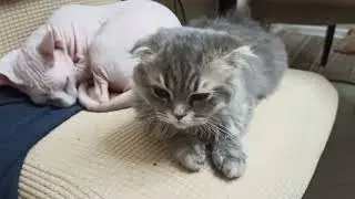 Таяна командует всеми, спит где попало/Здоровье Флета