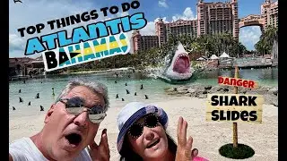 Atlantis what's NEW. Shark tank slide.