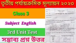 Class 3 English 3rd Unit Test 2023 Question & Answer / Class 3 Third Summative Evaluation Test Q & A