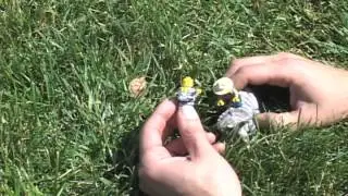 Guy On A Buffalo