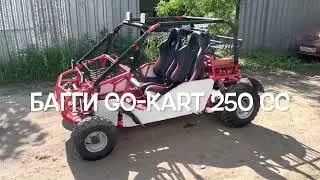 Багги Go-Kart 250 CC, бензиновый 250 кубов, 2010 г