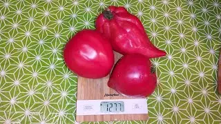 Что выросло от Малинник.ру?! 🤔 И долгожданный томат Тюльпан розовый! Ожидала большего...!!!