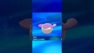 SHINY WAILORD  #pokemon #pokemonshield #shiny #evolution #gaming #nintendo #switch #CapCut #shorts