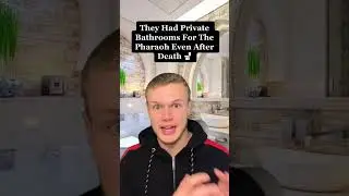 Crazy Facts About The Egyptian Pyramids ⚒️