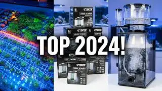 Go Fast coral, Visite du gros show d'europe, mace vivarium 2024