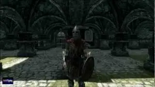 Skyrim. The real Dragonborn?