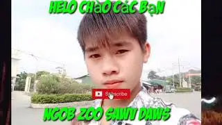 Video kev lom zem zoo saib