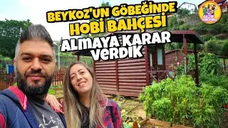 A SECRET GARDEN IN THE MIDDLE OF ISTANBUL