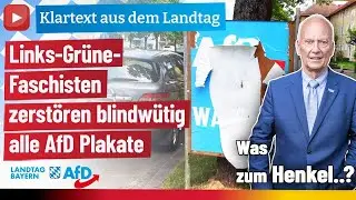Links-Grüne- Faschisten zerstören blindwütig alle AfD Plakate