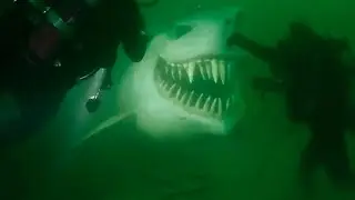 Si Tienes Miedo A Las Profundidades, NO MIRES ESTE VIDEO...