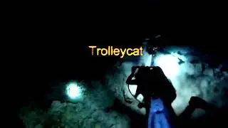 trolleycat - beam