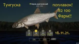 рр4! Тунгуска. Поплавок Фарм 450 монет)))