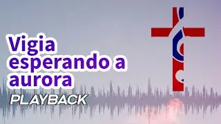 Vigia esperando a aurora - playback
