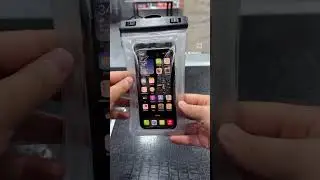 29 июня 2024 г.