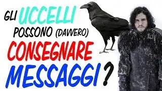 Gli uccelli possono davvero consegnare messaggi?