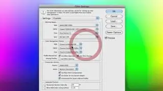 How To Correctly Adjust Color Settings In Photoshop