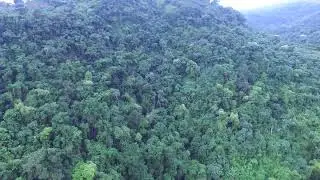 Volando el viejo dji phantom 3 en el 2023