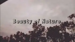 Beauty of Nature| Few seconds with nature| Nature| Beauty| @moretodiscover