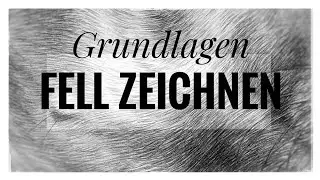 Fell zeichnen lernen - Grundlagen