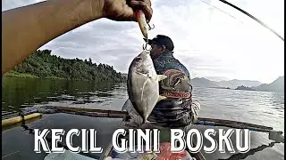 dapat ikan bobara - tapi cucunya
