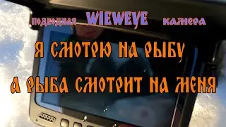 ПОД ЛЕД С ПОДВОДНОЙ КАМЕРОЙ. Забыл, что надо ловить)))