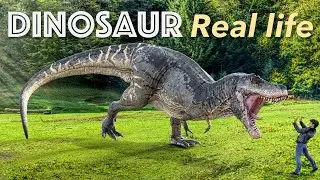 Dinosaur in real life | Google 3D Dinosaur | Mesozoic era T rex Dinosaur in AR